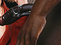 cock