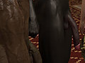 dick
